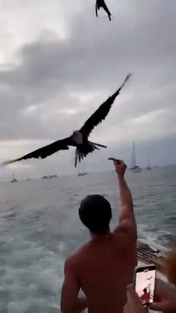 NINTCHDBPICT001073475496