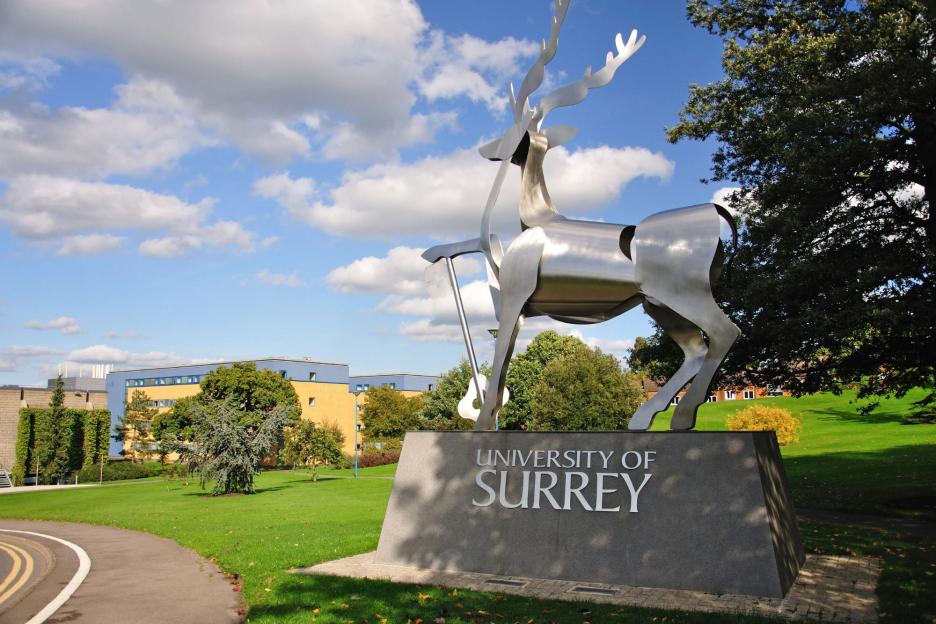 Crossbow Attack at University: 21-Year-Old Arrested After Shooting Man in His 50s