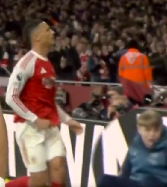 NINTCHDBPICT001067684159