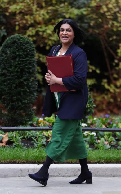 Labour MP Mocked for Calling Home Secretary's Asylum Reforms 'Populist'