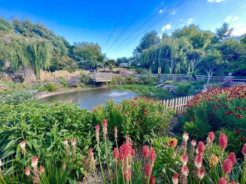 A vibrant garden with a pond and a small wooden dock, surrounded by lush green trees, various flowers in bloom, and a light-colored picket fence, all under a clear blue sky.