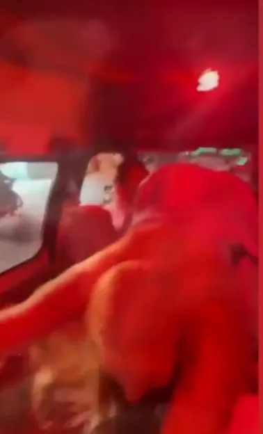 Brazilian transgender influencer Malevola Alves twerking inside a car.