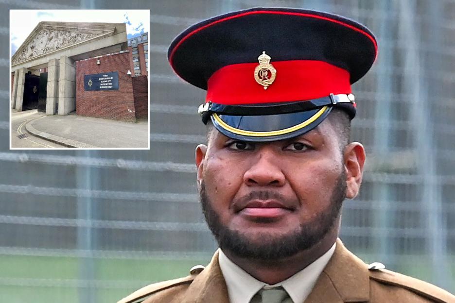 Trooper from Household Cavalry Faces Deportation After Allegedly Assaulting Sleeping Girlfriend Following Night of Heavy Drinking with Fellow Soldier