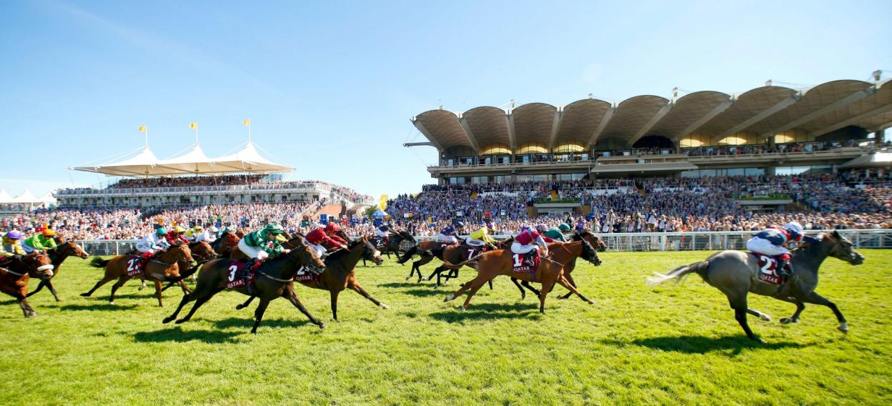 Horses and jockeys racing across a green track in front of a grandstand filled with spectators.