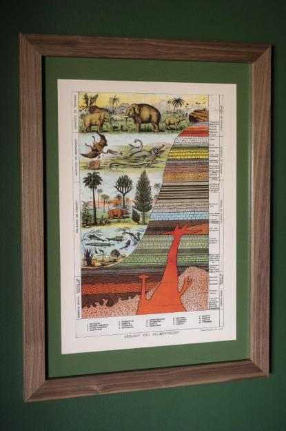 Illustration of a framed "Geology and Palaeontology" chart depicting layers of rock and corresponding prehistoric life forms.