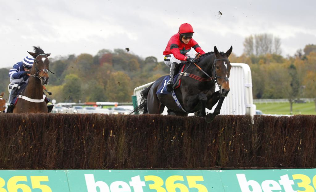 Horse Collapses at Grand National Festival, Prompting Urgent Ambulance Response at Aintree