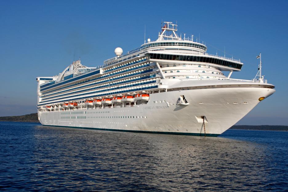 Over 100 Passengers Affected by Vomiting Bug During Norovirus Outbreak on Caribbean Princess Cruise Ship