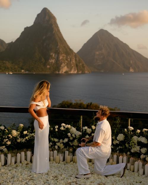 NINTCHDBPICT000981730008