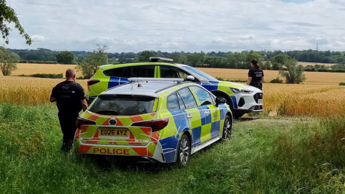 Two police cars and two police officers in a field of tall grass and wheat.