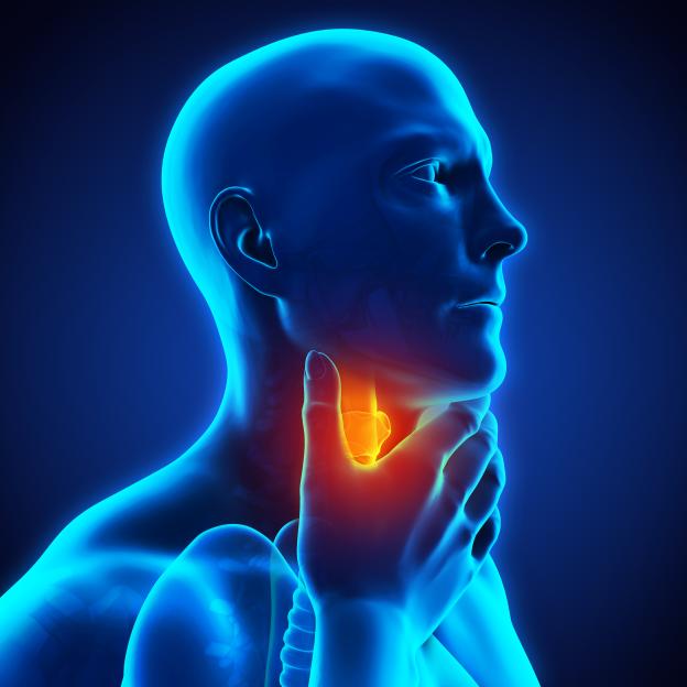 Illustration of a blue translucent human head and torso from the side, with a hand touching the throat where a bright orange area indicates a sore throat or pain.