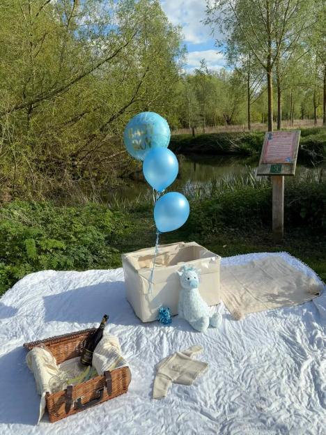 Picnic blanket with blue balloons, a "Baby Boy" balloon, a basket, and a blue stuffed animal.