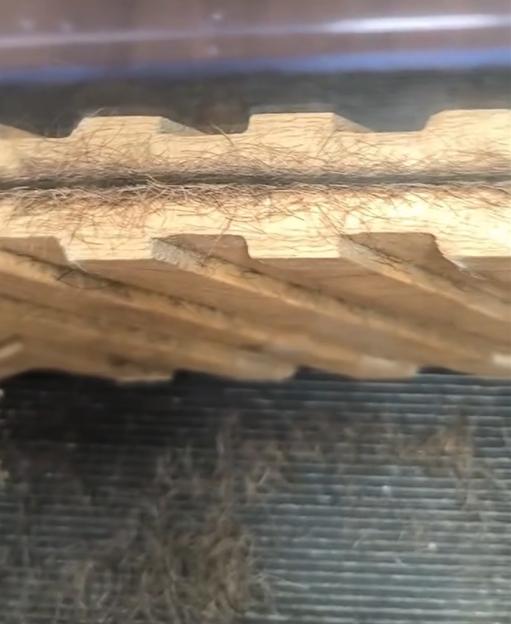 Close-up of hair on and under a wooden surface.