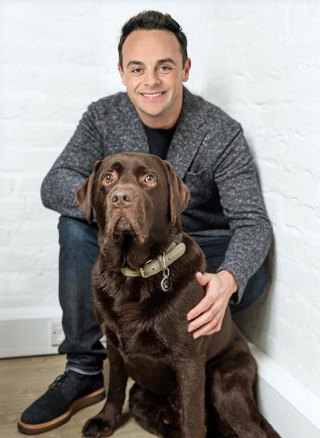 'How Ant McPartlin's Loyal Dog Hurley Supported Him Through Addiction and Divorce'
