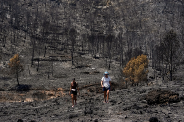 Two women walk through a landscape of burnt trees and scorched earth.