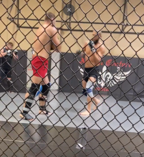 Two men sparring in a caged ring.