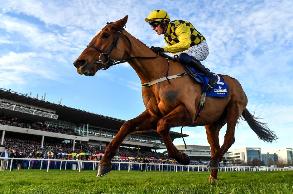 Dublin Racing Festival - Day Two