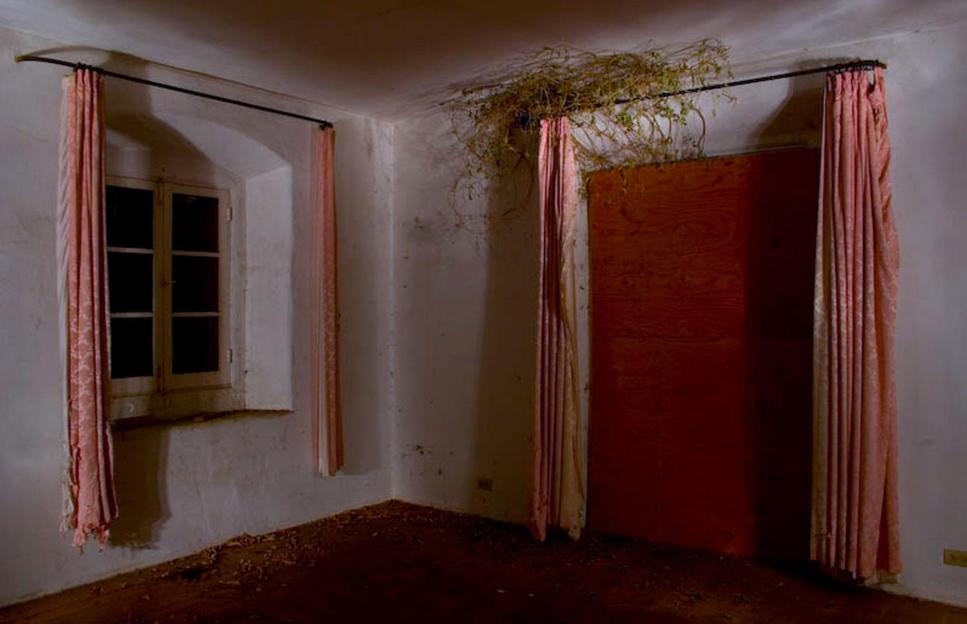 NINTCHDBPICT000579599368