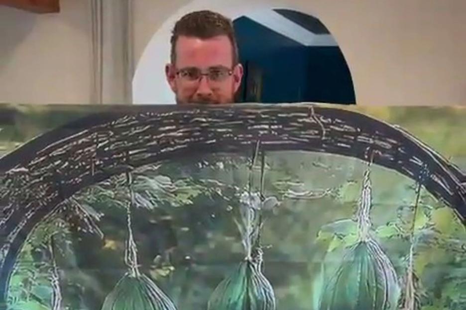 Couple Shocked to Discover Their 'Garden Arch' from Temu is Just a Printed Picture!