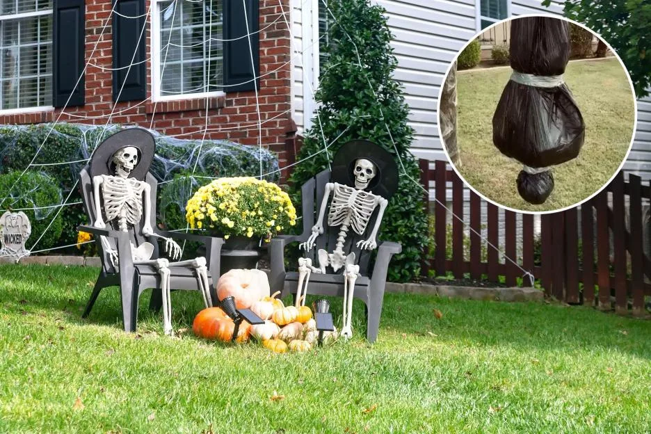 I was gobsmacked when the police turned up because there was a ‘dead body’ in my garden – we both ended up stitches