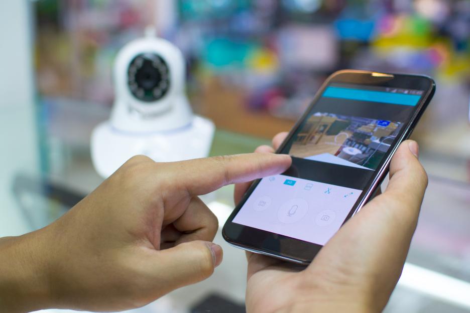 NINTCHDBPICT001038237587