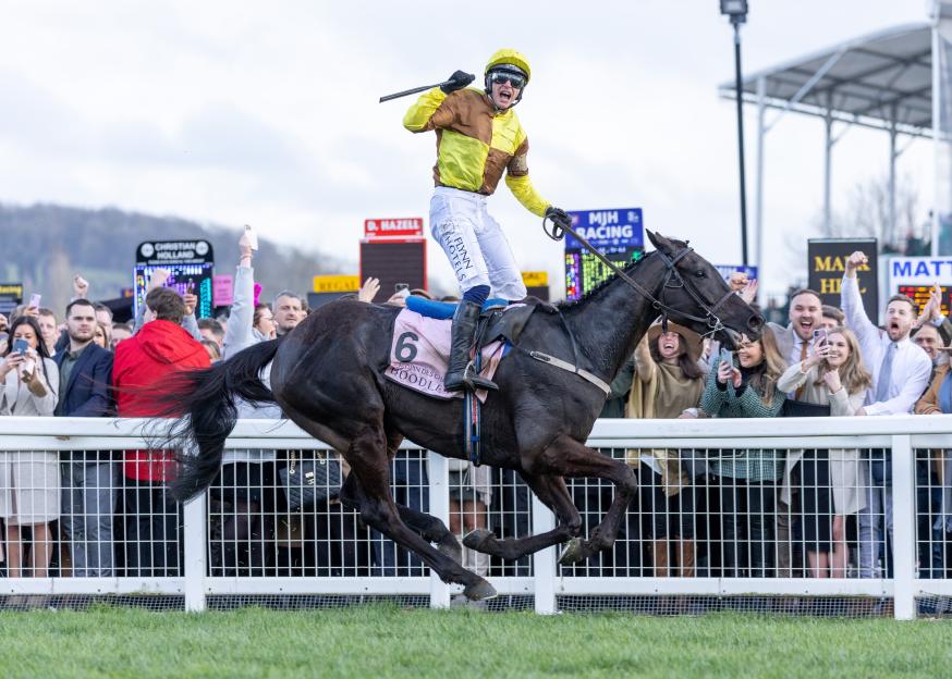 Willie Mullins Announces Retirement of Two-Time Gold Cup Champion Galopin Des Champs, the 'Horse of a Lifetime'