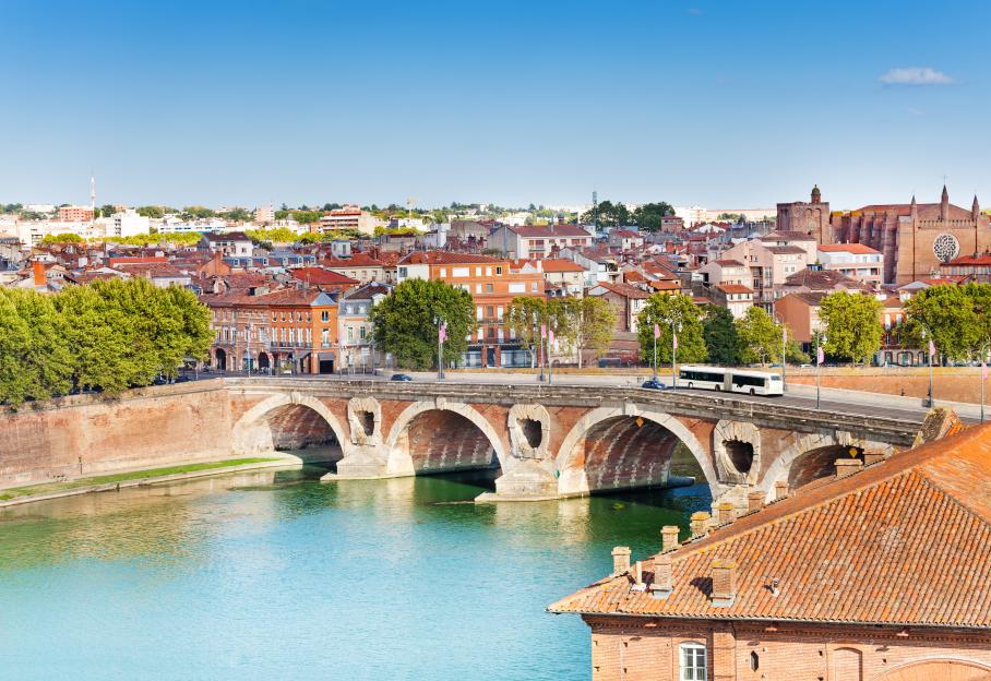 Toulouse and Pont Neuf bridge across Garonne river