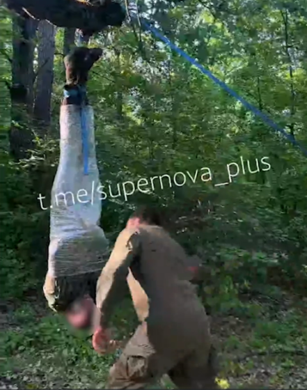 A person wrapped in plastic hangs upside down from a tree as another person stands nearby.