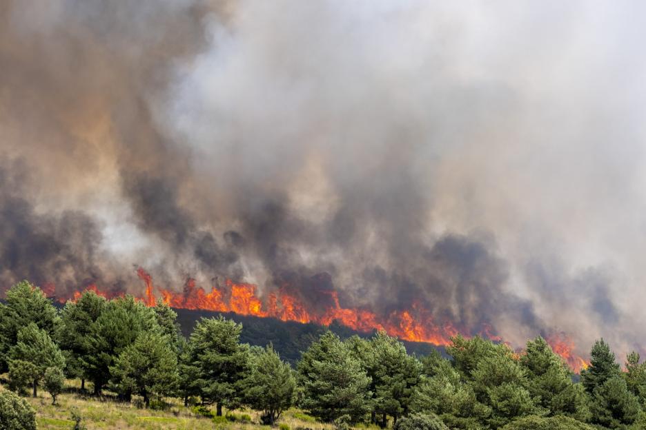 Forest fire in Guadalajara