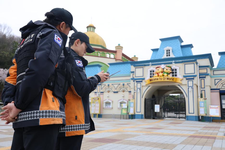 Search for escaped wolf at amusement park in South Korea