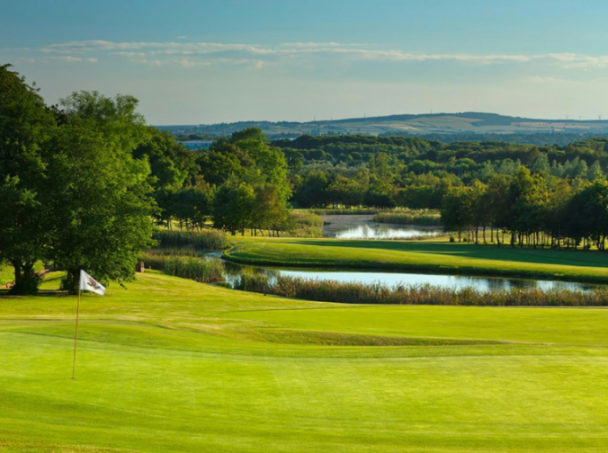 A golf course with a green, a white flag on a pole, and a pond surrounded by trees and reeds.