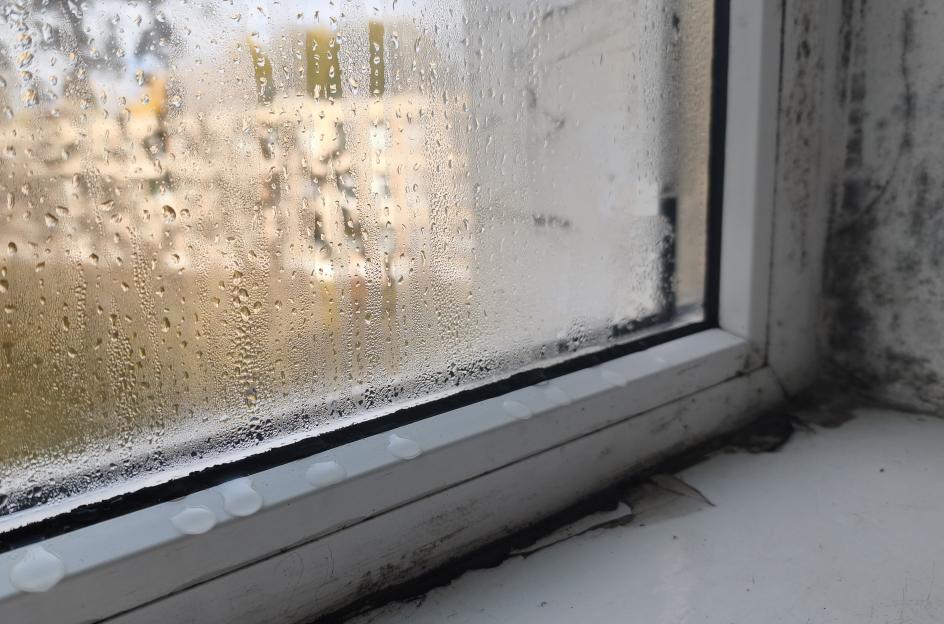 Say Goodbye to Damp Windows: Discover My Simple 'Buffed' Condensation Trick!