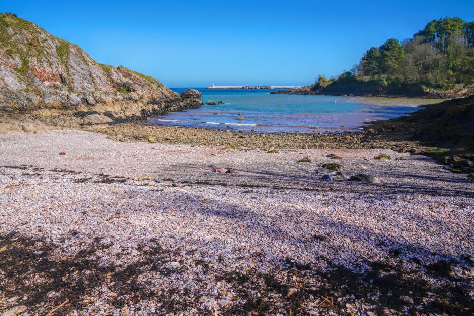 Churston Cove Beach with a shell-covered foreground, rocky cliffs on the left, and a distant pier.