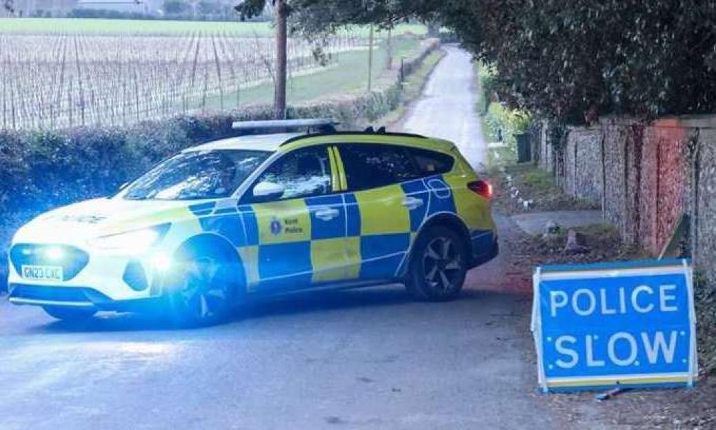 BMW driver who killed couple and dog in country lane "was doing 87mph seconds before crash"