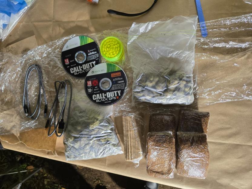 NINTCHDBPICT001045969534