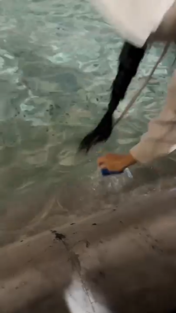 Katy Perry dipping a bank card into the Trevi Fountain.