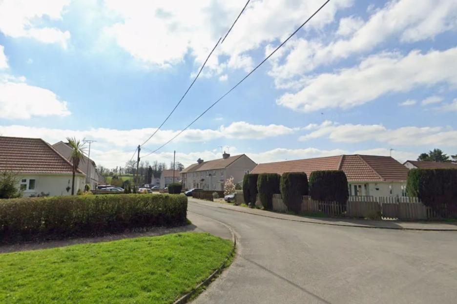 14-Year-Old Boy Faces Serious Injuries in Shocking Dog Attack After Canines Escape Home in UK Village