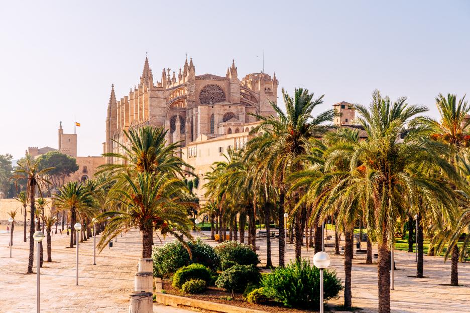 The Cathedral of Santa Maria of Palma, a Gothic-style church, surrounded by palm trees in Palma de Mallorca, Spain.