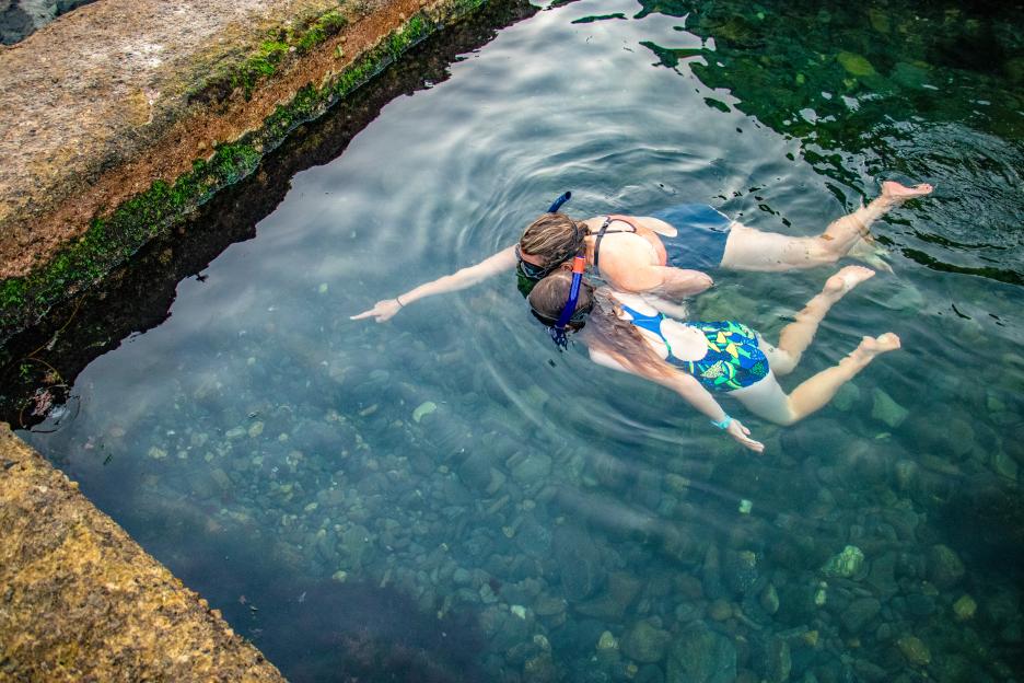 Two people snorkeling in clear blue water.