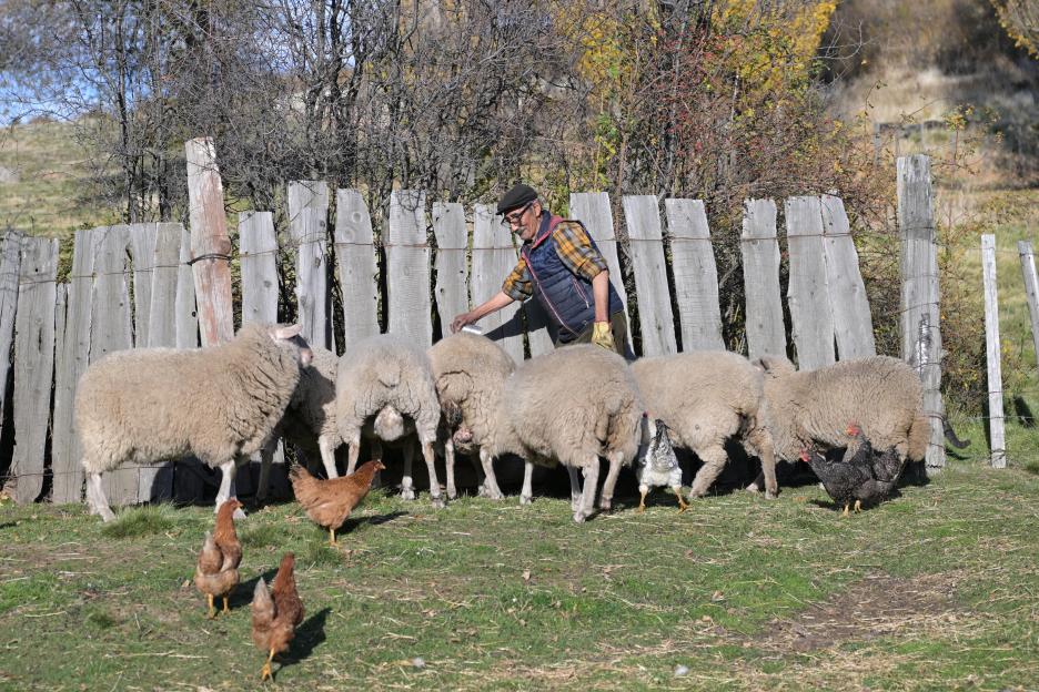 ARGENTINA-PATAGONIA-HEALTH-HANTAVIRUS-ILLNESS