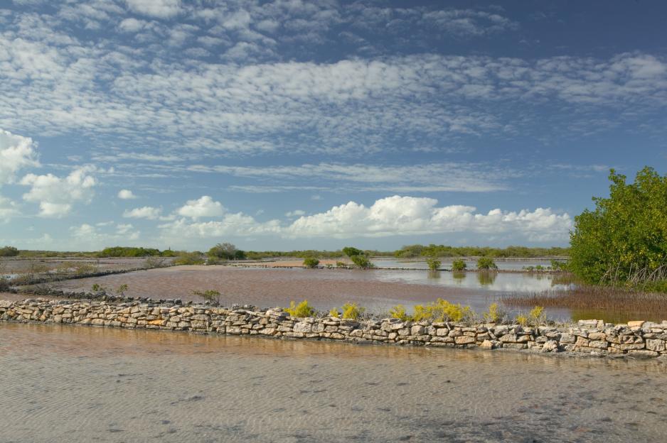 View of the historic Old Island Salinas (Salt Ponds) in Cockburn Harbour, South Caicos Island, with low stone walls separating shallow bodies of water.