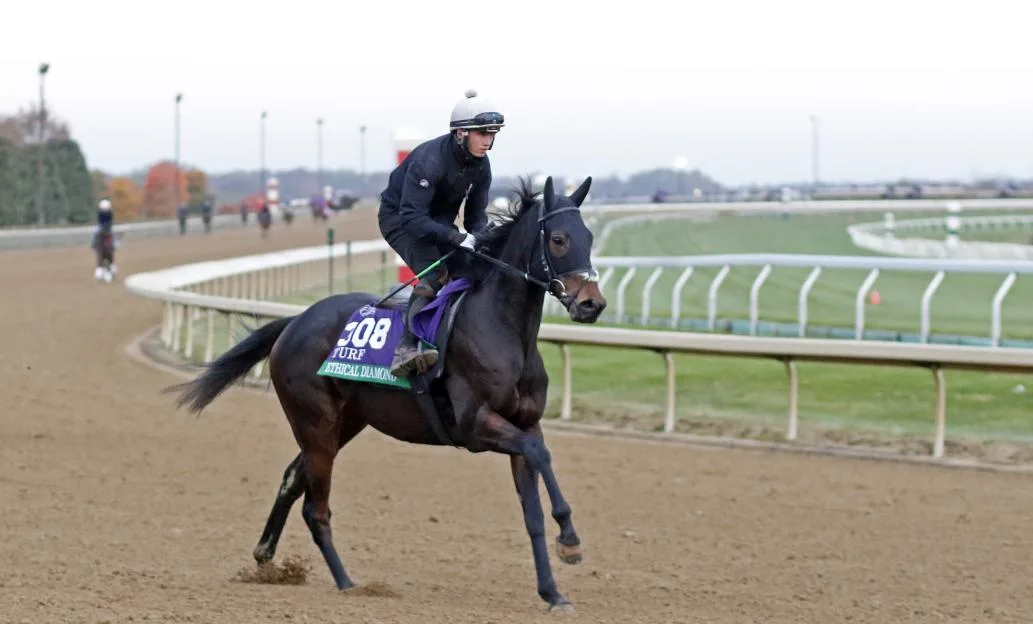 Breeders’ Cup 2026 diary: Francis-Henri Graffard ‘confident’ on his big hope while Willie Mullins could strike again