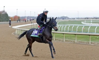 Breeders’ Cup 2026 diary: Francis-Henri Graffard ‘confident’ on his big hope while Willie Mullins could strike again