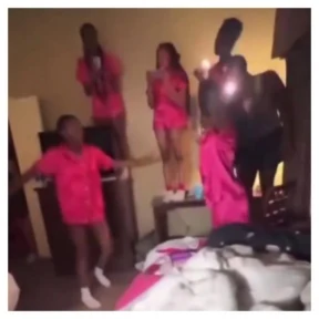 "Bridal Shower Brawl: Ladies Throw Down in Viral Boxing Match!"