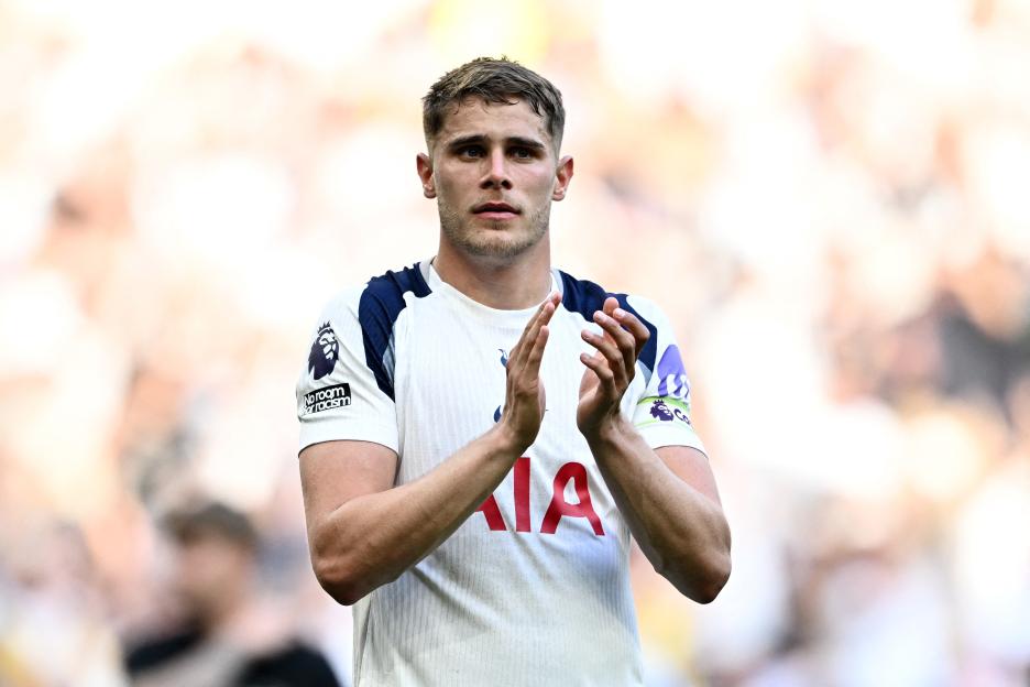 Premier League - Tottenham Hotspur v Everton