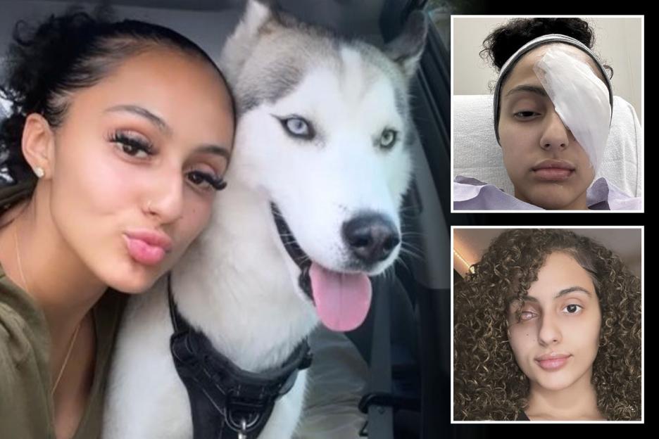 'From a Walk with My Puppy to a Life-Altering Moment: How One Sudden Snap Changed Everything'