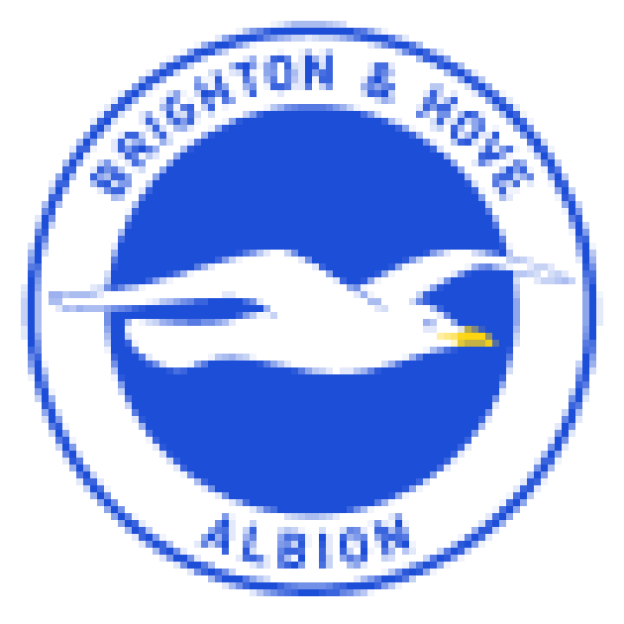 Epl-teambrighton