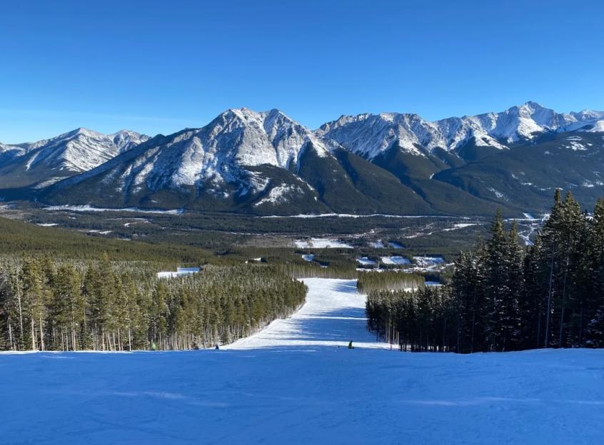 NINTCHDBPICT001062832268