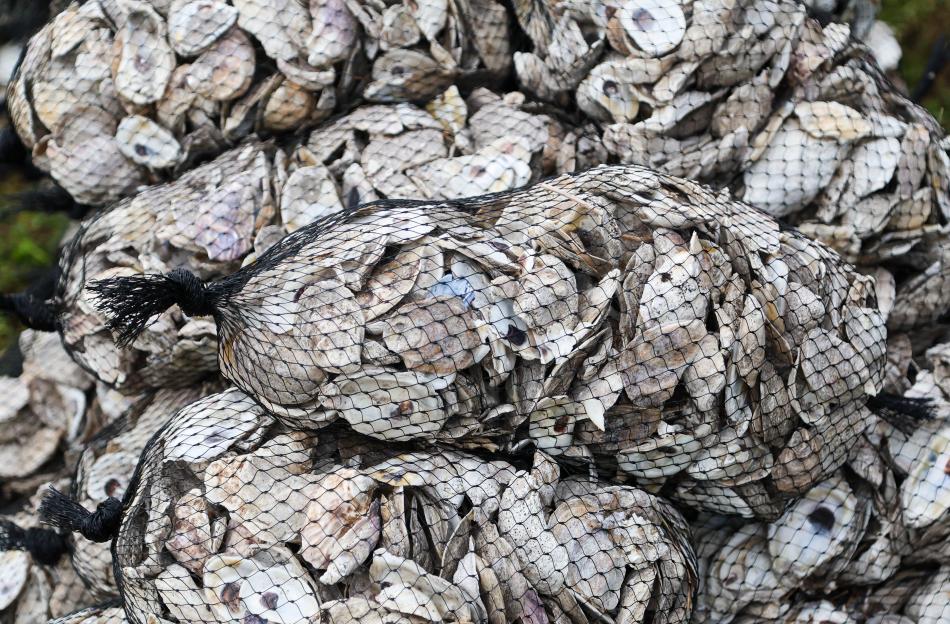 Florida News, Tierra Verde, USA - 01 Dec 2025