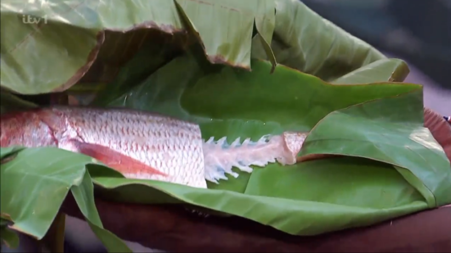 A red snapper fish is being prepared for cooking by wrapping it in a large green banana leaf.