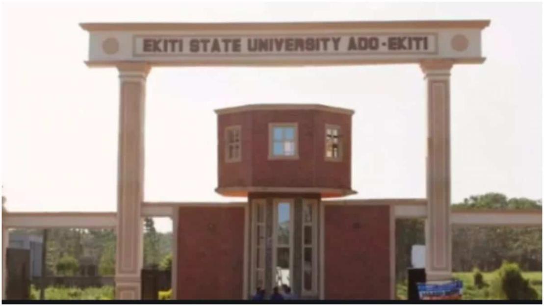 'EKSU VC: Synergy is the Secret to Industrial Harmony and Academic Success'